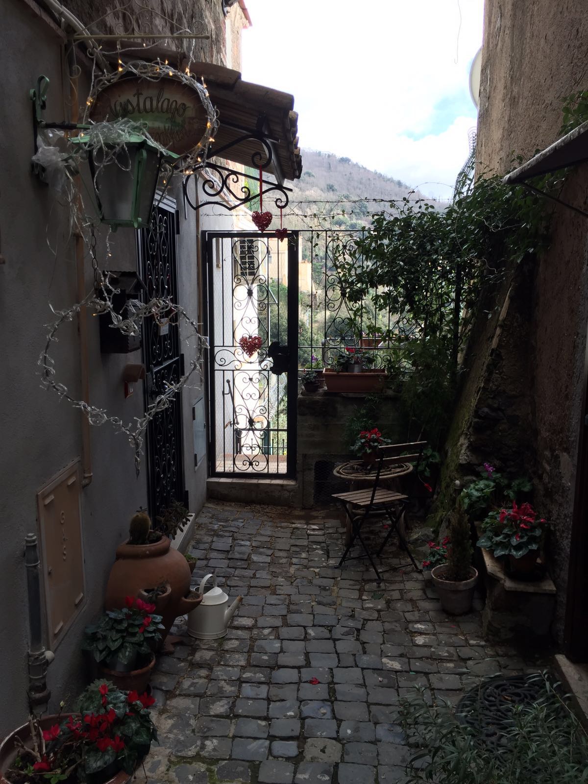 visit Nemi, Italy, wild strawberries, store counters