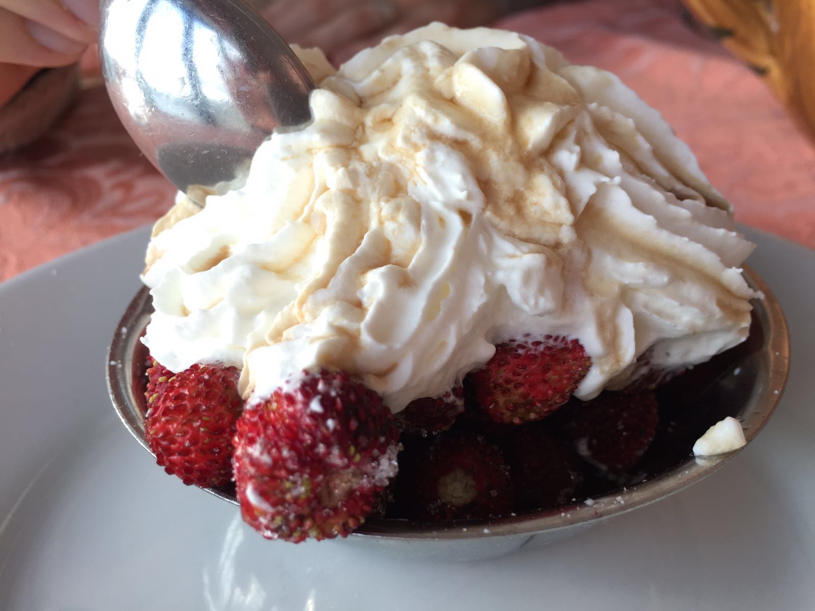 visit Nemi, Italy, wild strawberries, store counters
